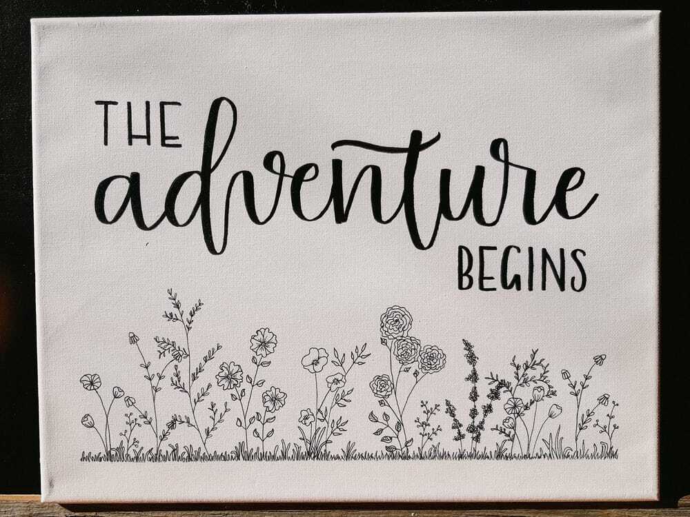 Botanical pen drawings | Graphic Objects ~ Creative Market Botanical pen drawings | Graphic Objects ~ Creative Market