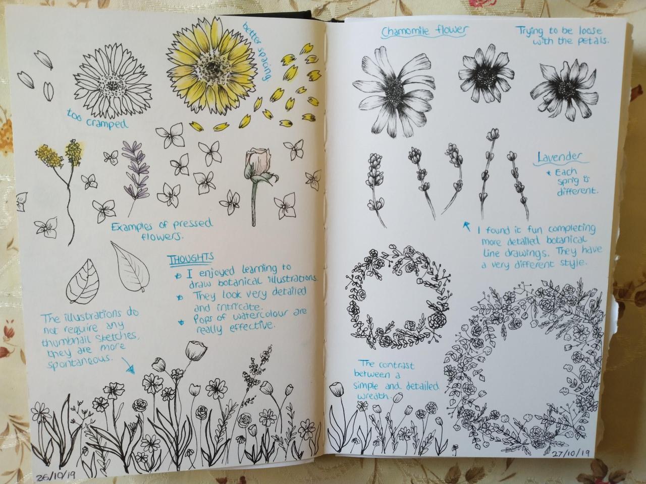 How to Use a Pointed Pen for Botanical Line Drawings