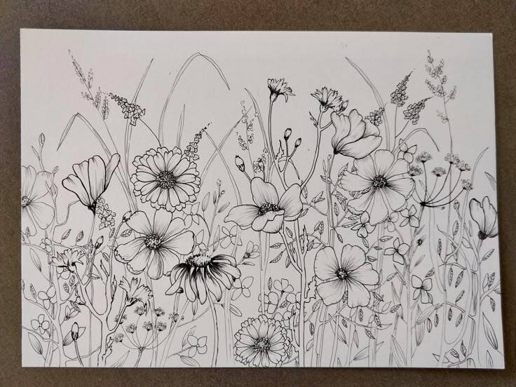 Botanical Illustration Basics in Pen and Ink - Spectrum Gallery Botanical Illustration Basics in Pen and Ink - Spectrum Gallery