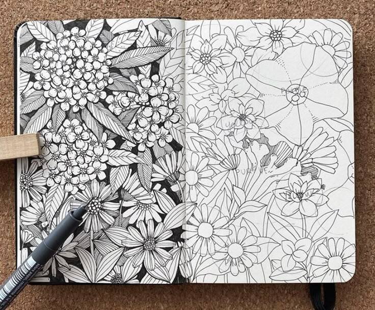 Botanical Line Drawing | Skillshare Student Project Botanical Line Drawing | Skillshare Student Project