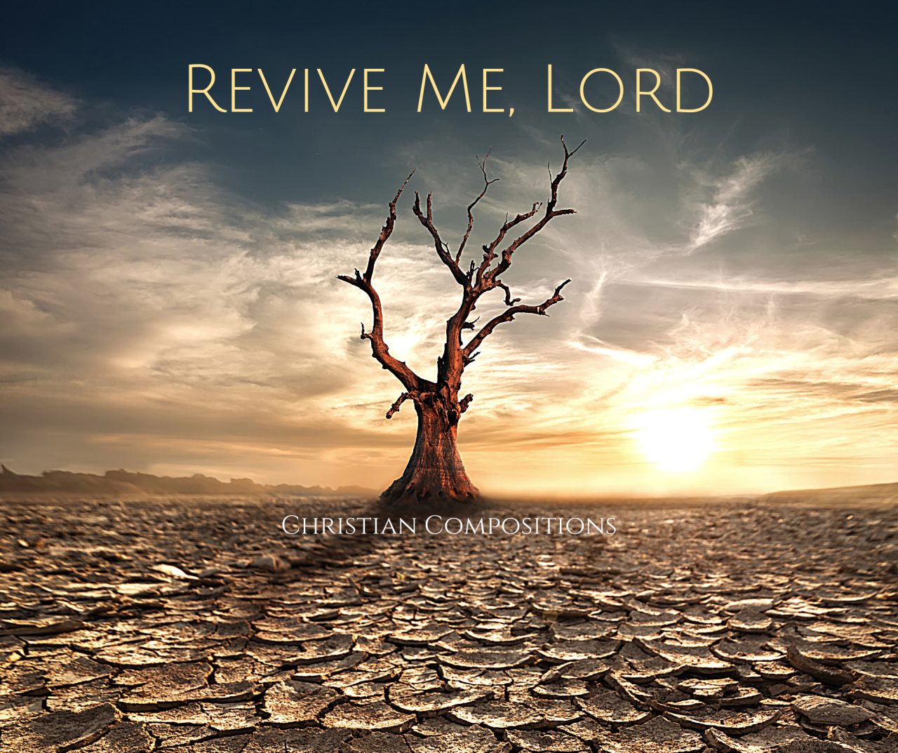 Nước Ngọt Revive 500ml - Điền Xanh Food Nước Ngọt Revive 500ml - Điền Xanh Food