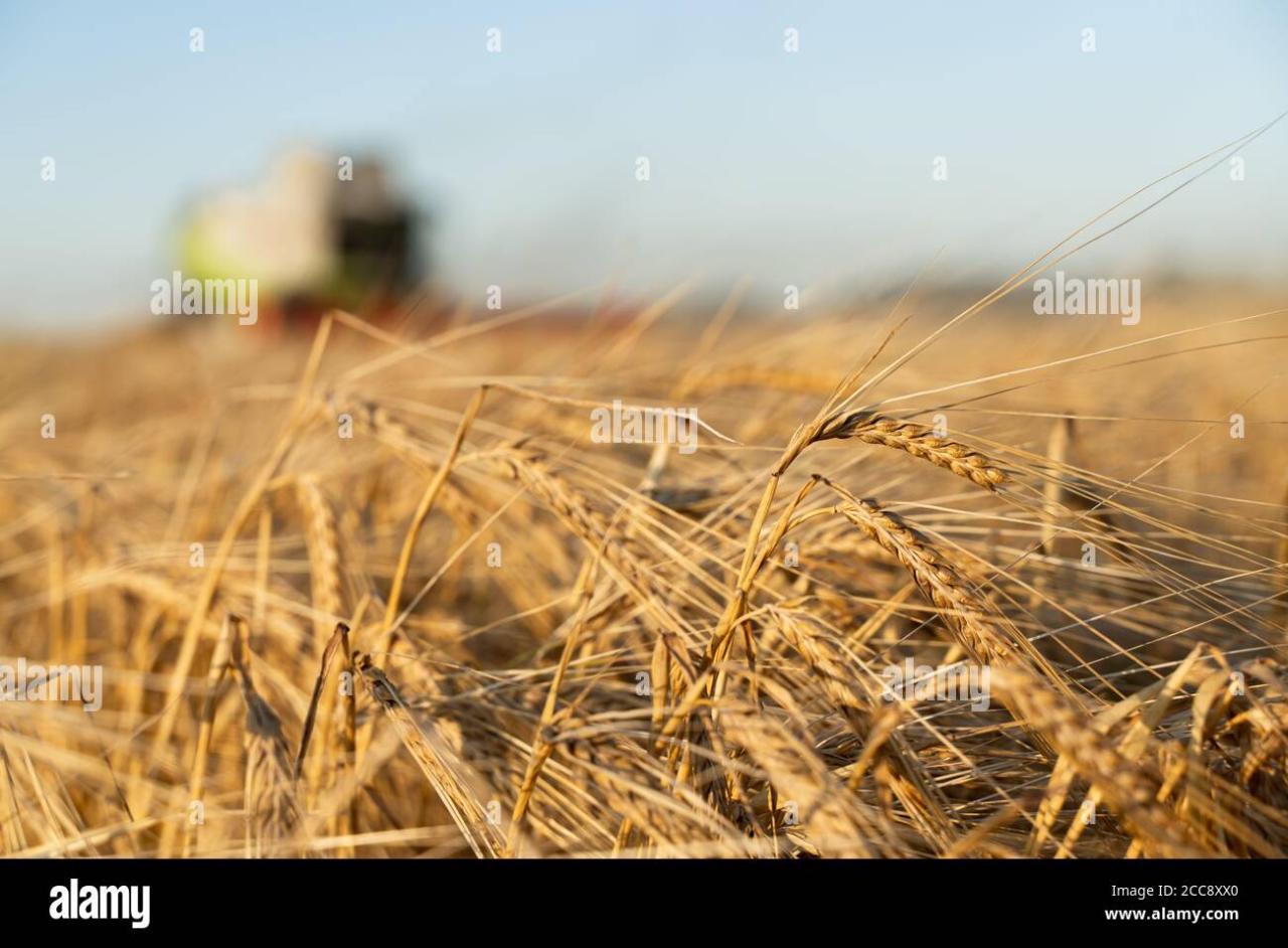 Pin by Руслан Ибраимов on Вдохновение | Half life, Armor concept, Life ... Pin by Руслан Ибраимов on Вдохновение | Half life, Armor concept, Life ...