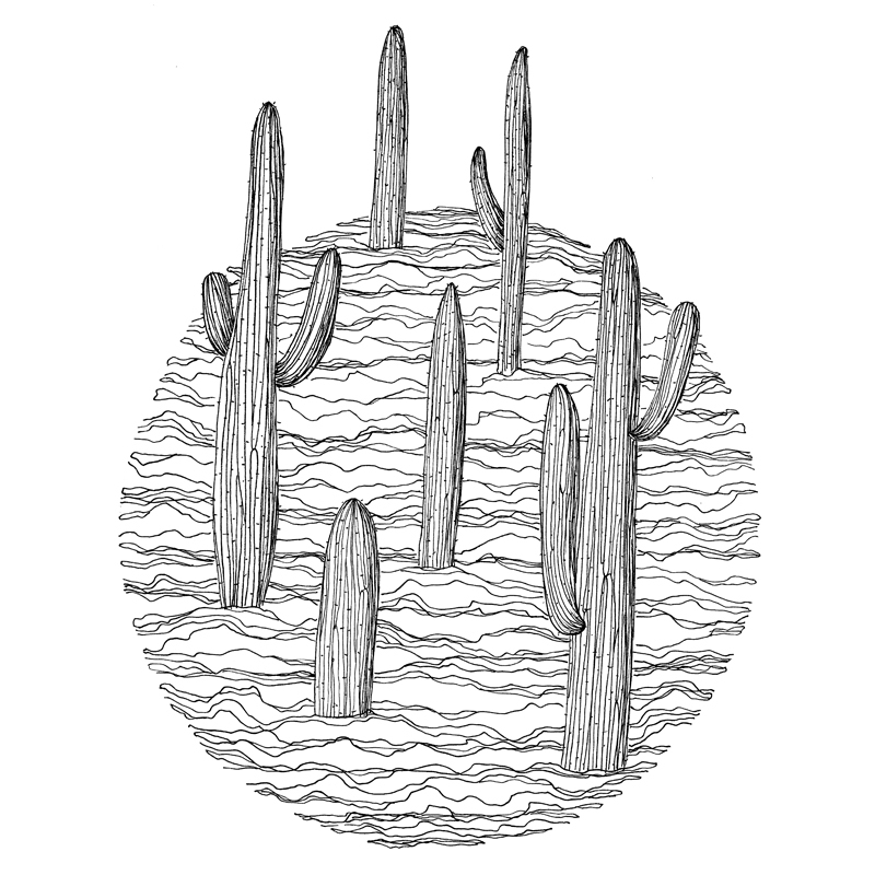 Ink Pen Botanical Drawings - Joanna Ciolek Ink Pen Botanical Drawings - Joanna Ciolek